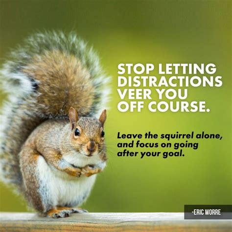 squirrel distraction meme|squirrel meme generator.